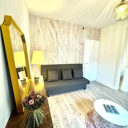 L Etoile Confort A Gare Classe 3 Etoiles Apartment Epinal